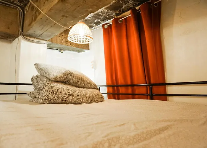Auberge de jeunesse Space Ara *
